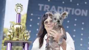 Arizona is officially home to the ugliest dog in the world