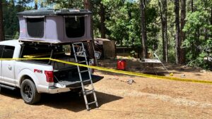 Man killed by bear near Prescott in 'vicious' and 'unprovoked' attack