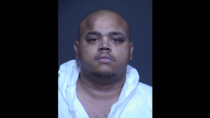 Bystander shot, killed at Mesa party after fight between partygoers