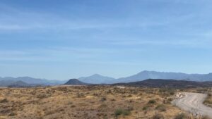 Body found in bonfire pile within Tonto National Forest in central Arizona