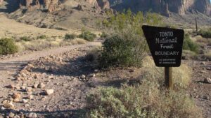 Body found in Tonto National Forest bonfire pile identified as missing teen
