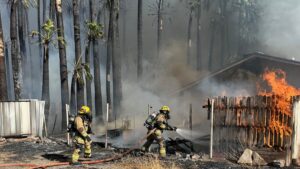 At least 21 displaced after alley fire spreads to Phoenix homes