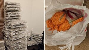 MCSO takes bite out of Valley drug trafficking organization
