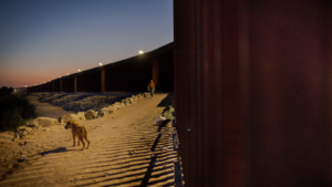 9-year-old migrant dies of organ failure near Mesa after crossing into the U.S.