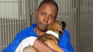 Arizona Humane Society on pace to take on 20,000 pets this year