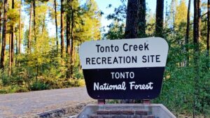 National Forest Foundation and SRP agree to 5-year forest restoration agreement
