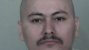 Man accused of killing relatives released from Arizona State Hospital