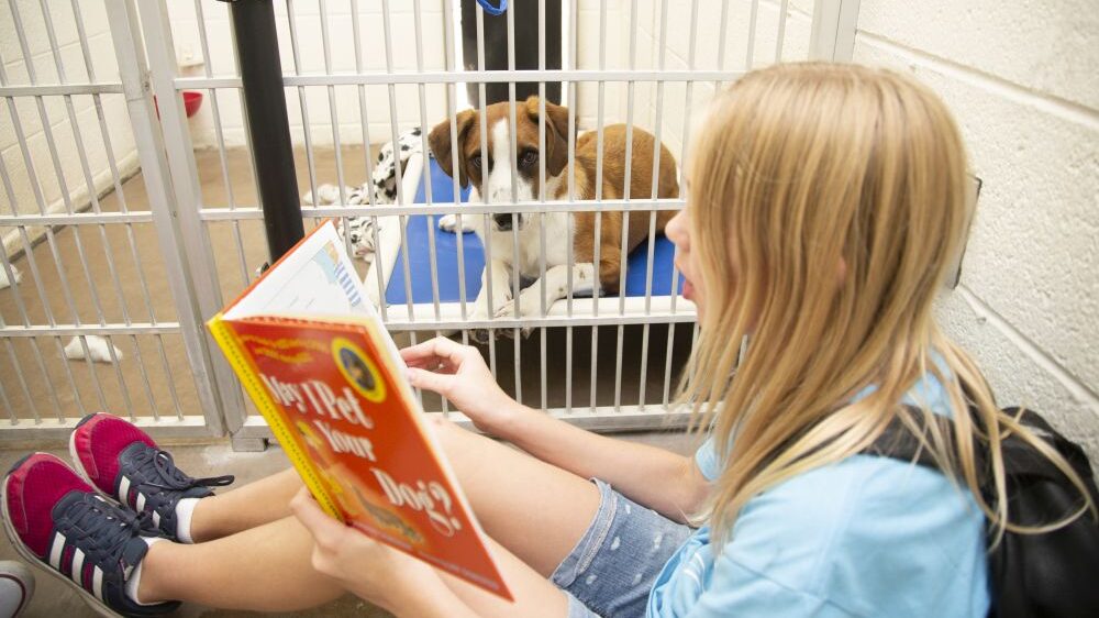 Girl reading a book to a dog. (Arizona Humane Society)...