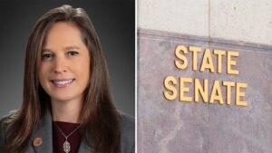 Former Arizona Rep. Shawnna Bolick appointed to fill Senate seat vacated by Steve Kaiser