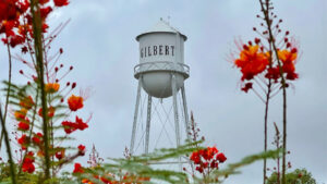 Gilbert offers residents up to $800 to replace grass with low-water landscape
