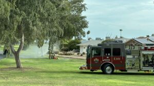 Bees sting Sun City maintenance worker over 2,000 times, fire officials say