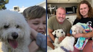 Valley dog reunited with family after 12 years, found 20 miles from home