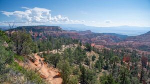 Arizona woman dies from flood waters in Utah national park, officials say