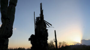 Arizona officials closely watching the deaths attributable to scorching weather
