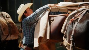Amazon using mules to deliver packages to bottom of Grand Canyon