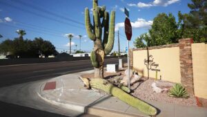 Another heat wave ahead? Here's what's in the forecast for Phoenix