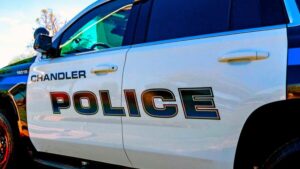 55 dogs removed from home in Chandler, owner arrested