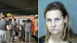 Judge rules dogs won't be returned to woman in Chandler animal abuse case