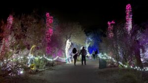 Phoenix Zoo expands park hours, plans activities as weather cools