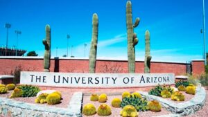 Suspected 'incel' accused of threatening mass shooting at University of Arizona