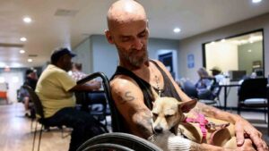What's next for those who were living in The Zone homeless encampment in Phoenix?