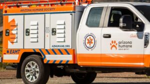 Skinned dog found dead in Phoenix trash bin as animal cruelty cases trend higher