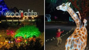 It's ZooLights season: What to know about popular Phoenix Zoo event