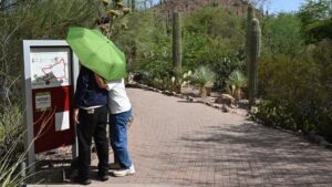 Phoenix breaks nearly 85-year-old daily heat record on Wednesday