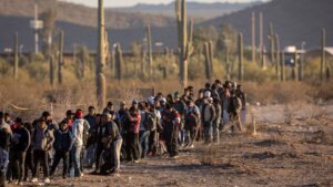 I'm suffering from BCM: Border Cynicism Syndrome
