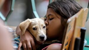 Safety tips pet owners can use to keep their dogs calm during fireworks on New Year's Day