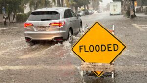 'Potent weather system' to dump rain across metro Phoenix on Friday