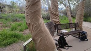 Montezuma Castle among Arizona national park sites combating vandalism