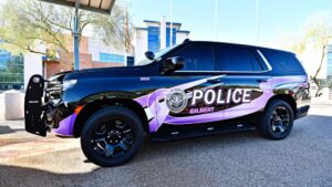 Police investigating 8 teen violence cases that could be linked to 'Gilbert Goons'