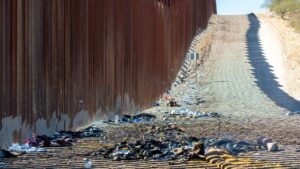Honduras woman pleads guilty to illegally smuggling migrants across US-Mexico border