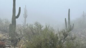 KTAR News Weather Center