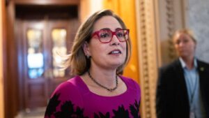 Arizona Sen. Kyrsten Sinema's upcoming border plan has 2 key goals