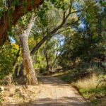 Part of another trail at Rockin' River Ranch.