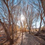 Part of Rockin' River Ranch trails.