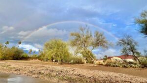 Valley drying out after several rounds of rain, including daily record amount in Phoenix