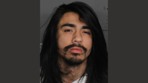 Police arrest 21-year-old for homicide behind pet store in Mesa