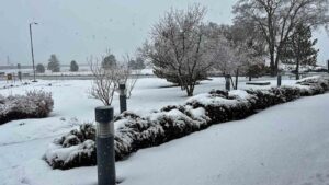 Winter storm system poised to blanket northern Arizona in snow