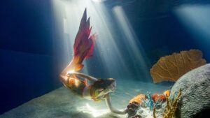 Mermaid Magic returns to OdySea Aquarium in Scottsdale for spring break