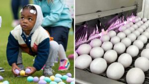 Egg prices stay near historic highs ahead of Easter due to bird flu, weather and inflation