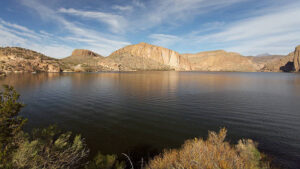 Golden algae toxin blooms to blame for fish kills at Saguaro, Canyon lakes