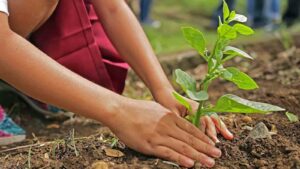 Tempe launching programs to benefit neighborhoods vulnerable to climate change
