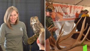 Arizona Game and Fish Department's annual outdoor expo returns to north Phoenix this weekend
