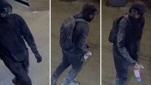 Prescott Valley police seek help with costly criminal damage incidents