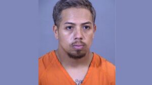 Man arrested for alleged homicide in south Phoenix