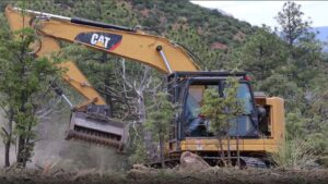 2nd phase of restoration begins for Arizona's 1990 Dude Fire