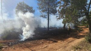 Arizona man accused of setting 3 fires north of Payson last week